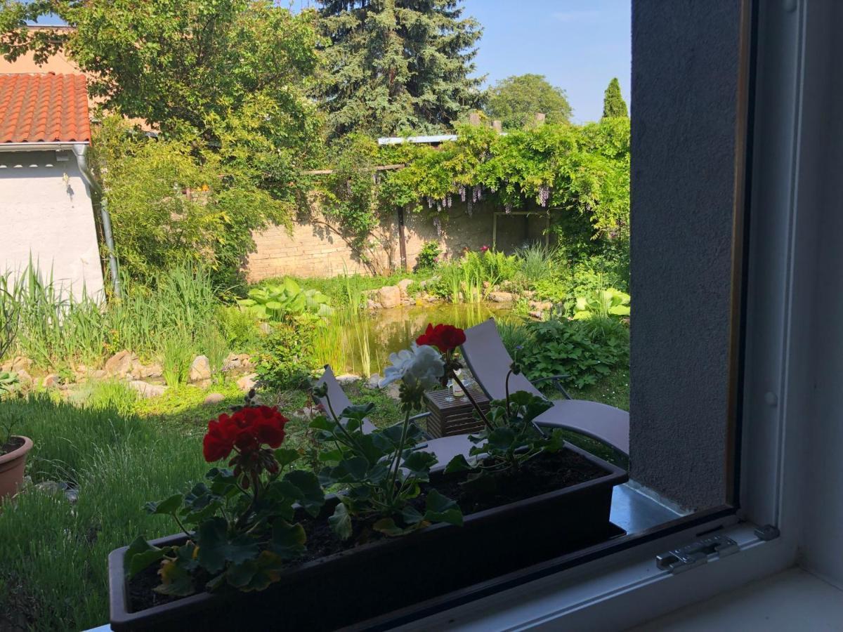 U Jezirka Apartment *