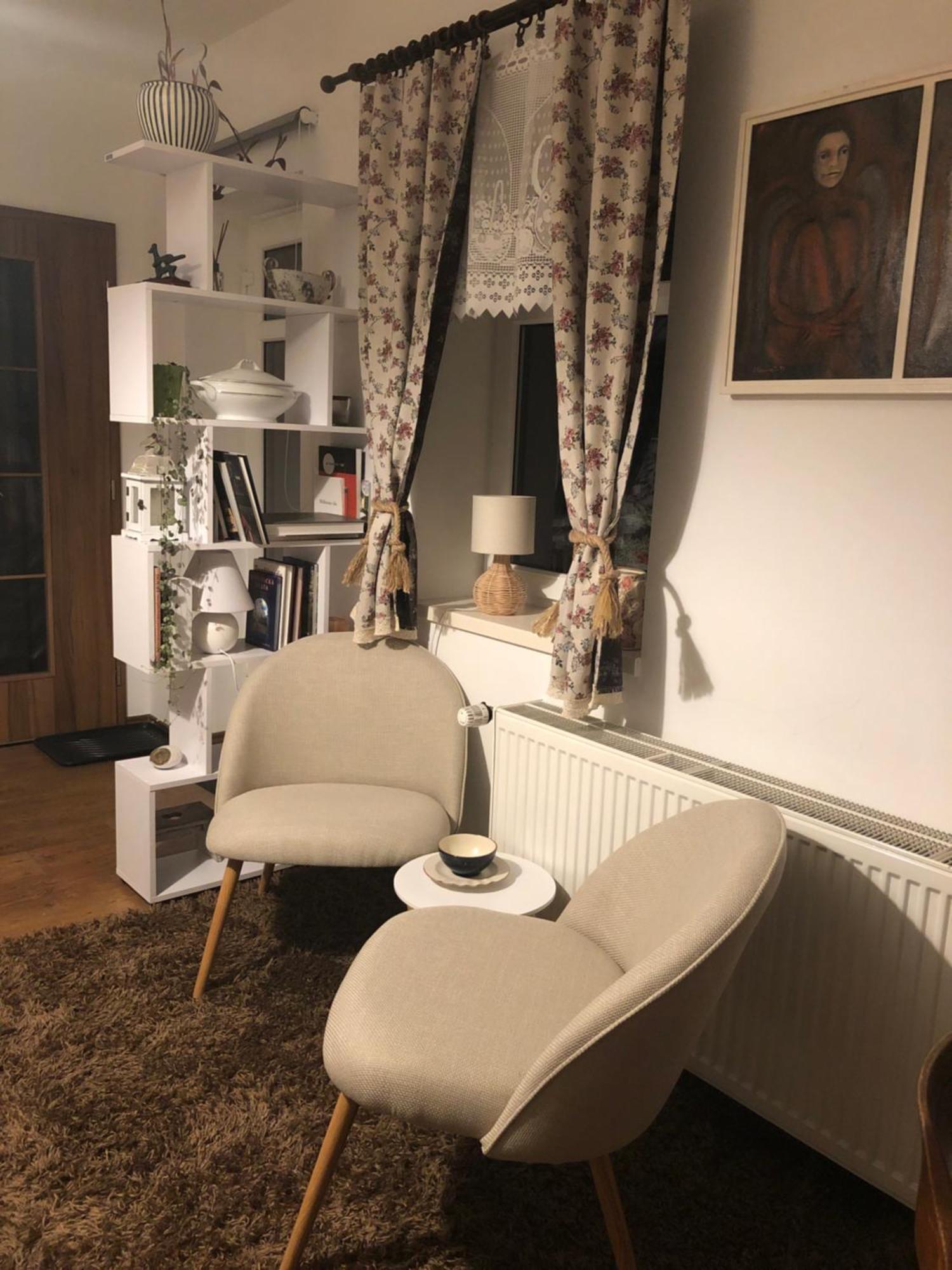 U Jezirka Apartment Velke Prilepy